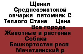 Щенки Среднеазиатской овчарки (питомник С Теплого Стана) › Цена ­ 20 000 - Все города Животные и растения » Собаки   . Башкортостан респ.,Мечетлинский р-н